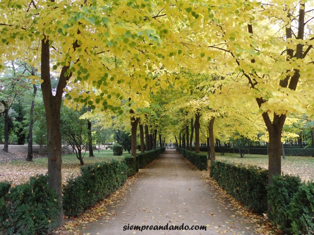Los Jardines del Palacio de Aranjuez
