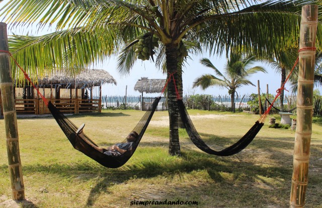 Estresado en Montañita