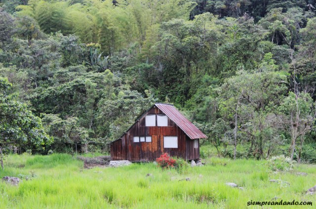 Cabaña abandonada camino al mariposario