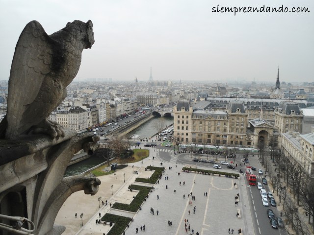Vista desde la cima de la Catedral de Notre Dame