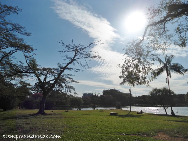Parque de Ibirapuera