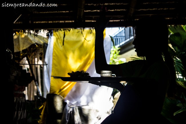 Ritual diario de agradecimiento en honor a los dioses, Ubud, Bali (2015).