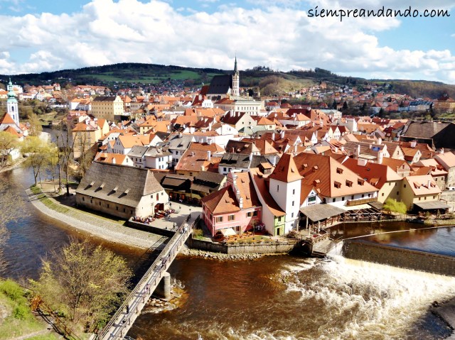 rep checa, cesky krumlov, 2012