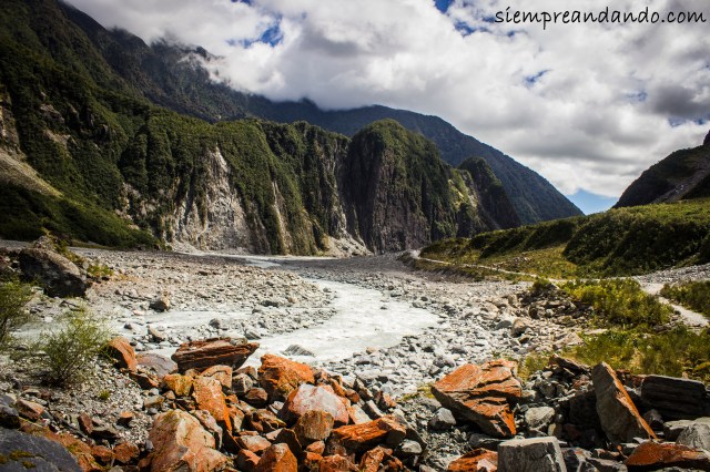 Camino hacia Fox Glacier.