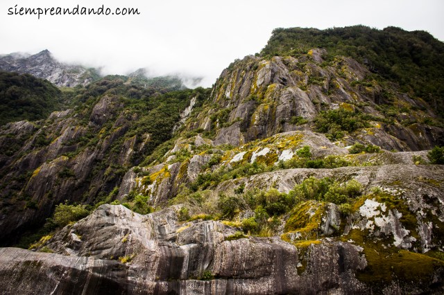 Paredones de piedra custodian el sendero rumbo a Franz Josef Glacier.