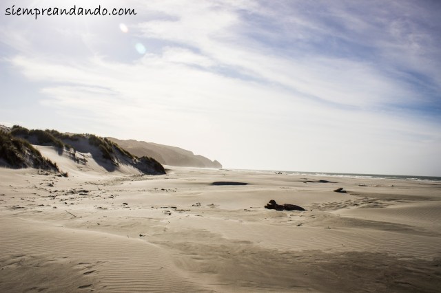 Playa en Golden Bay.
