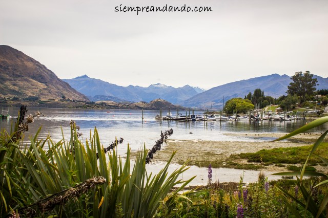 Wanaka.