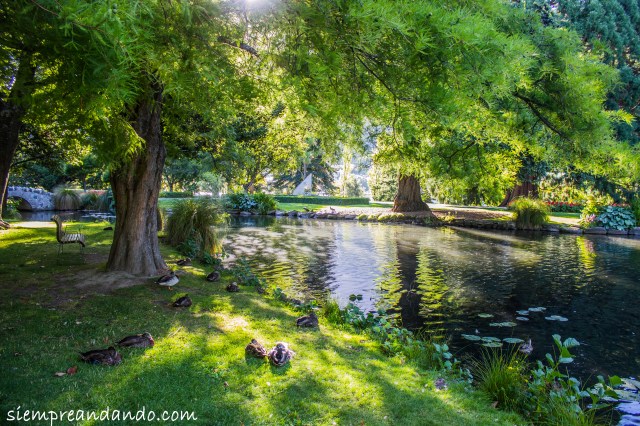 Los jardines de Queenstown.