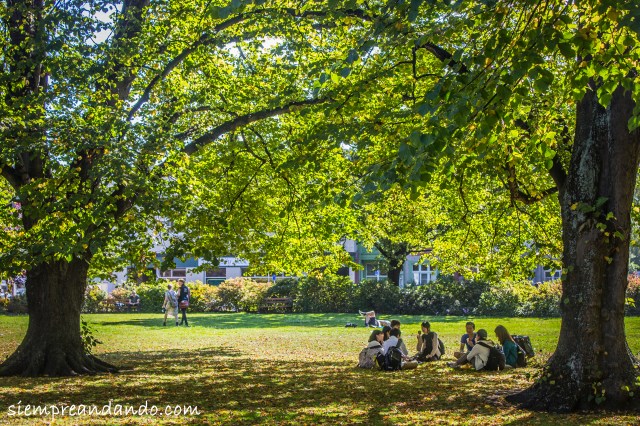 Alumnos universitarios en una plaza de Dunedin.