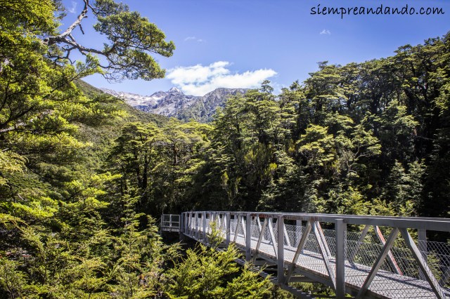 Puente camino a las Devils Punchbowl Falls, en Arthur's Pass.