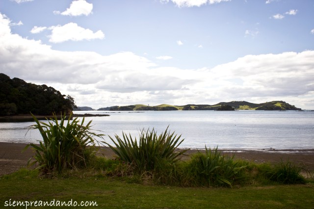Bay of islands. 