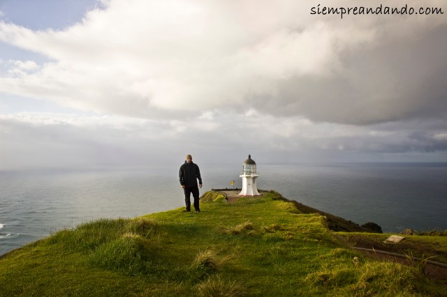 El faro del Cape Reinga.